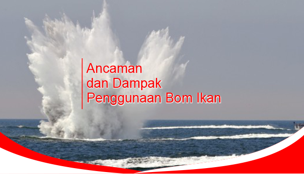 Ancaman Dan Dampak Penggunaan Bom Ikan Semburatcom 9611